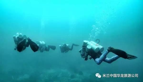 冷知识分享平台-一个提手旁加个犬念什么,犬就念动物猫那个部首叫犬?| 每天为你揭秘新奇冷知识